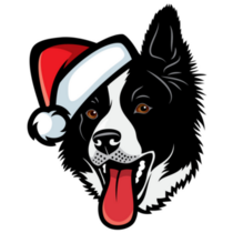 Border Collie Santa Hat Sticker