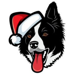 Border Collie Santa Hat Sticker