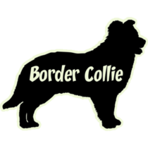 Border Collie Silhouette Sticker