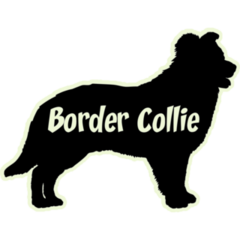 Border Collie Silhouette Sticker