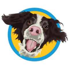 Border Collie Silly Sticker