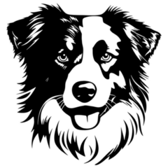 Border Collie Sketch Sticker