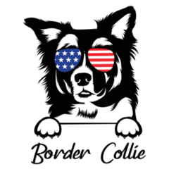 Border Collie USA Sticker