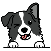 Border Collie Winking Sticker