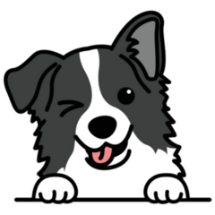Border Collie Winking Sticker