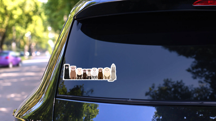 Border Of Various Ferrets Sticker on a Rear Car Window (New) example