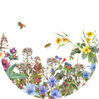 Border With Herbs, Bees And Wildflowers Sticker
