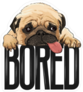 Bored Pug Dog Sticker