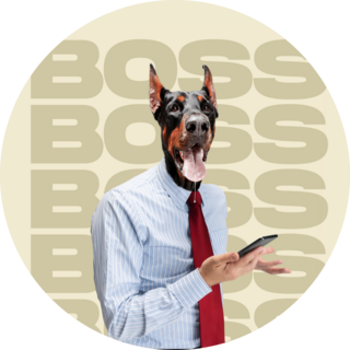 Boss Doberman Sticker