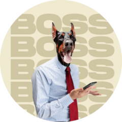 Boss Doberman Sticker