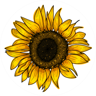 Botanical Sunflower Sticker