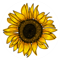 Botanical Sunflower Sticker