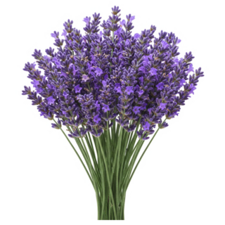Bouquet Lavender Sticker