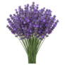 Bouquet Lavender Sticker