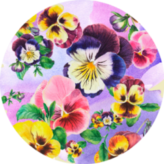 Bouquet Of Colored Pansies, Composition On Colorful Back Sticker