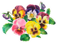 Bouquet Of Colored Pansies Flowers Hand Drawn Sticker