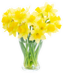Bouquet Of Daffodils Flowers In Vase Sticker