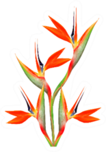 Bouquet Of Flowers Bird Of Paradise Sticker