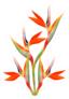 Bouquet Of Flowers Bird Of Paradise Sticker