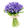Bouquet Of Flowers Iris Sticker