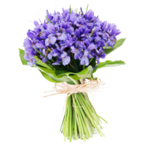 Bouquet Of Flowers Iris Sticker