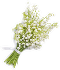 Bouquet Of Lilies Of The Valley Isolated On White Sticker