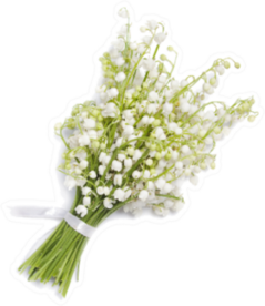 Bouquet Of Lilies Of The Valley Isolated On White Sticker