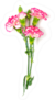 Bouquet Of Three Pink Carnation Flowers Sticker
