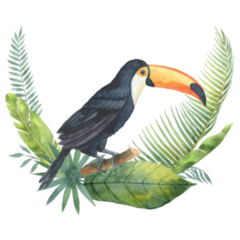 Bouquet Of Tropical Leaves And Toucan Sticker