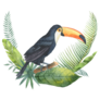Bouquet Of Tropical Leaves And Toucan Sticker