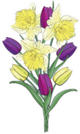 Bouquet Of Yellow Daffodils And Colorful Tulips Sticker