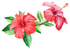 Bouquet Tropical Flower Hibiscus Sticker