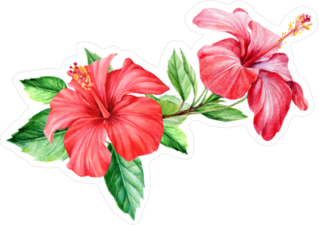 Bouquet Tropical Flower Hibiscus Sticker