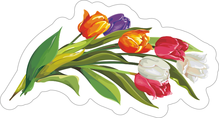 Bouquet Tulip Flower Sticker