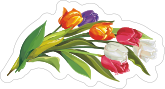 Bouquet Tulip Flower Sticker