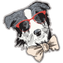 Bow Tie Border Collie Sticker