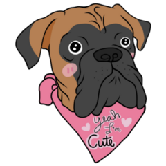 Boxer Cute Bandana Sticker
