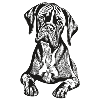 Boxer Dog Detailed Sticker