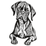 Boxer Dog Detailed Sticker