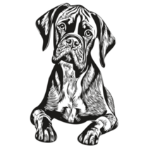 Boxer Dog Detailed Sticker