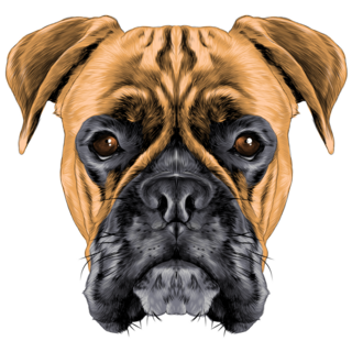 Boxer Dog Sketch Sticker