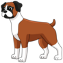 Boxer Dog Sticker