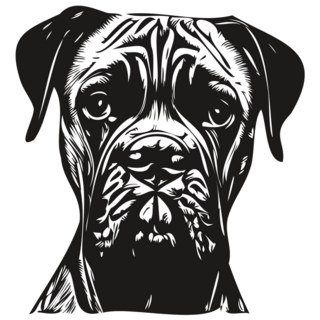 Boxer Expression Sticker