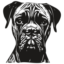 Boxer Expression Sticker