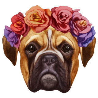 Boxer Floral Crown Sticker 