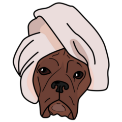 Boxer Head Towel Sticker