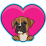Boxer Heart Sticker