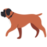 Boxer Illustration Sticker