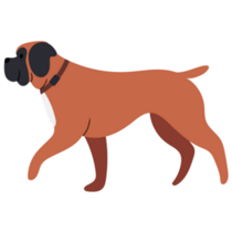 Boxer Illustration Sticker