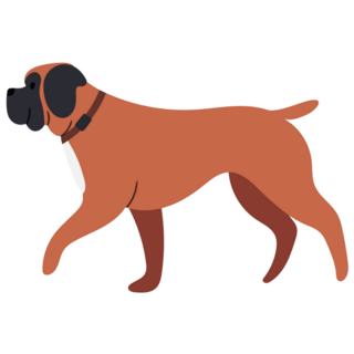 Boxer Illustration Sticker